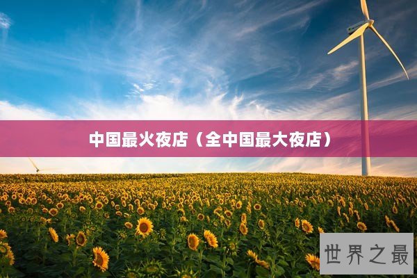 中国最火夜店（全中国最大夜店）