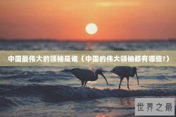 中国最伟大的领袖是谁（中国的伟大领袖都有哪些?）