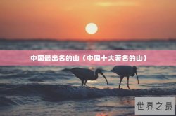 中国最出名的山（中国十大著名的山）