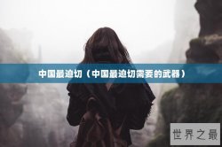 中国最迫切（中国最迫切需要的武器）