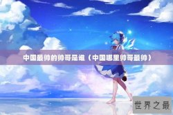 中国最帅的帅哥是谁（中国哪里帅哥最帅）