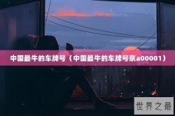 中国最牛的车牌号（中国最牛的车牌号京a00001）