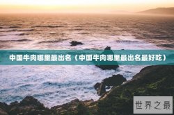 中国牛肉哪里最出名（中国牛肉哪里最出名最好吃）