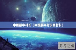 中国最牛村长（中国最牛村长吴村长）
