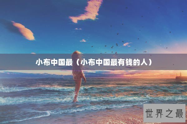 小布中国最（小布中国最有钱的人）