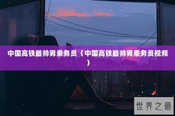 中国高铁最帅男乘务员（中国高铁最帅男乘务员视频）