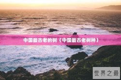 中国最古老的树（中国最古老树种）