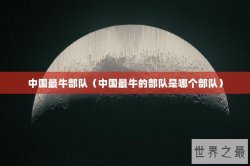 中国最牛部队（中国最牛的部队是哪个部队）