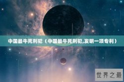 中国最牛死刑犯（中国最牛死刑犯,发明一项专利）