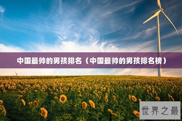 中国最帅的男孩排名（中国最帅的男孩排名榜）