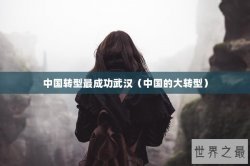 中国转型最成功武汉（中国的大转型）