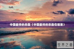 中国最帅的总裁（中国最帅的总裁在哪里）