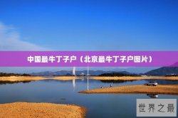中国最牛丁子户（北京最牛丁子户图片）