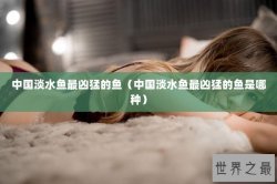 中国淡水鱼最凶猛的鱼（中国淡水鱼最凶猛的鱼是哪种）