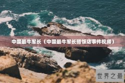 中国最牛军长（中国最牛军长砸饭店事件视频）
