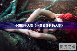 中国最牛大专（中国最好的的大专）