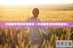 中国最宏伟的政策解读（中国最宏观的政策解读）