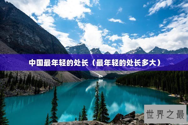 中国最年轻的处长（最年轻的处长多大）
