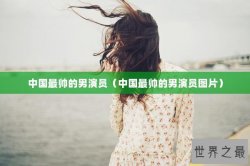 中国最帅的男演员（中国最帅的男演员图片）