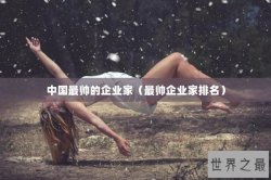 中国最帅的企业家（最帅企业家排名）