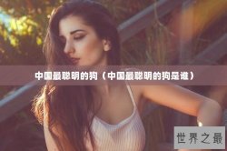 中国最聪明的狗（中国最聪明的狗是谁）