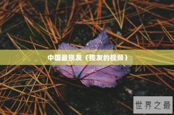 中国最损友（损友的视频）