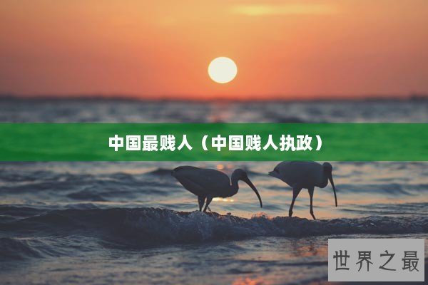 中国最贱人（中国贱人执政）