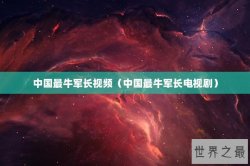 中国最牛军长视频（中国最牛军长电视剧）
