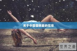 关于中国国税最的信息