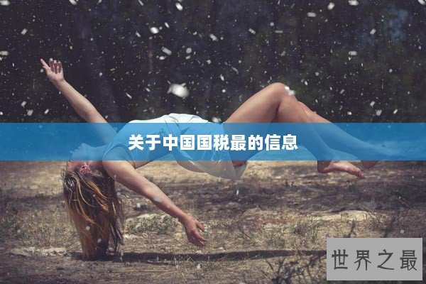 关于中国国税最的信息