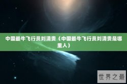 中国最牛飞行员刘清贵（中国最牛飞行员刘清贵是哪里人）