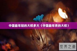 中国最年轻的大校多大（中国最年青的大校）