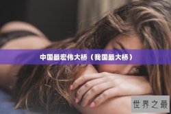 中国最宏伟大桥（我国最大桥）
