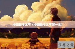 中国最牛乞丐（中国最牛乞丐第一名）