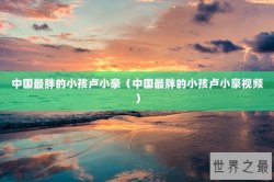 中国最胖的小孩卢小豪（中国最胖的小孩卢小豪视频）