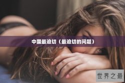 中国最迫切（最迫切的问题）