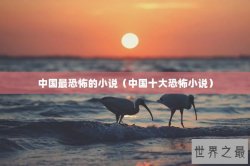 中国最恐怖的小说（中国十大恐怖小说）