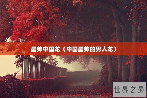最帅中国龙（中国最帅的男人龙）