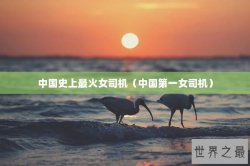 中国史上最火女司机（中国第一女司机）