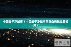 中国最干净城市（中国最干净城市只穿白棉袜走路视频）