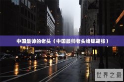 中国最帅的老头（中国最帅老头络腮胡张）