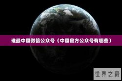 谁最中国微信公众号（中国官方公众号有哪些）