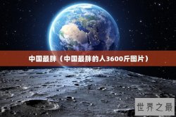 中国最胖（中国最胖的人3600斤图片）