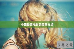 中国最黄电影的简单介绍