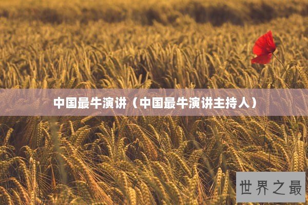 中国最牛演讲（中国最牛演讲主持人）