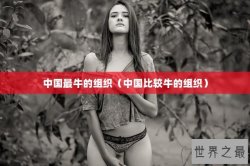 中国最牛的组织（中国比较牛的组织）
