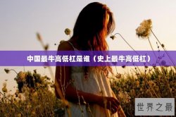 中国最牛高低杠是谁（史上最牛高低杠）