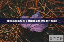 中国最豪华火车（中国最豪华火车怎么买票）