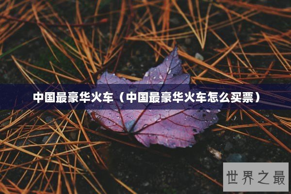 中国最豪华火车（中国最豪华火车怎么买票）