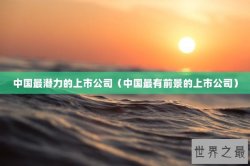 中国最潜力的上市公司（中国最有前景的上市公司）